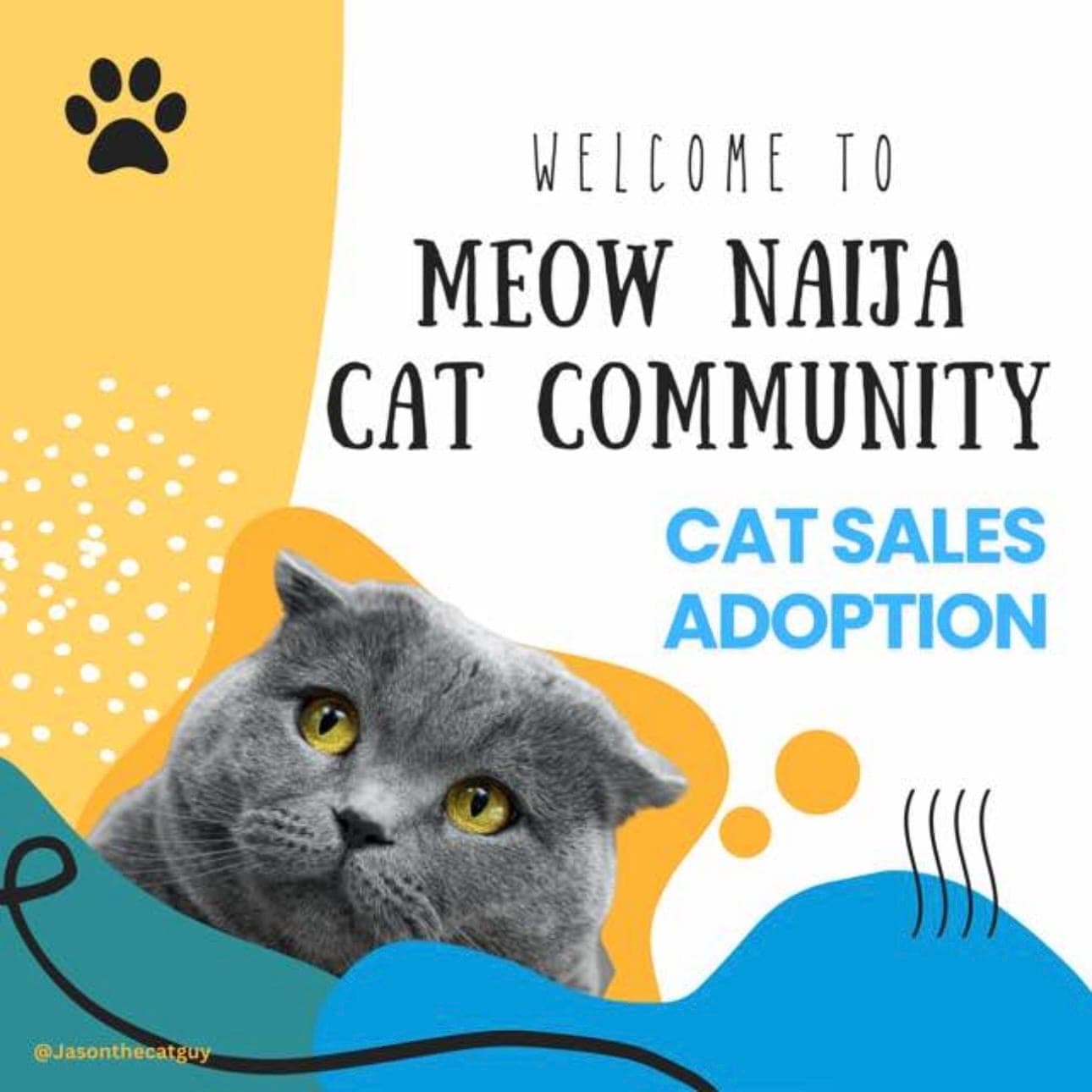 MNCC: Cat Sales & Adoption