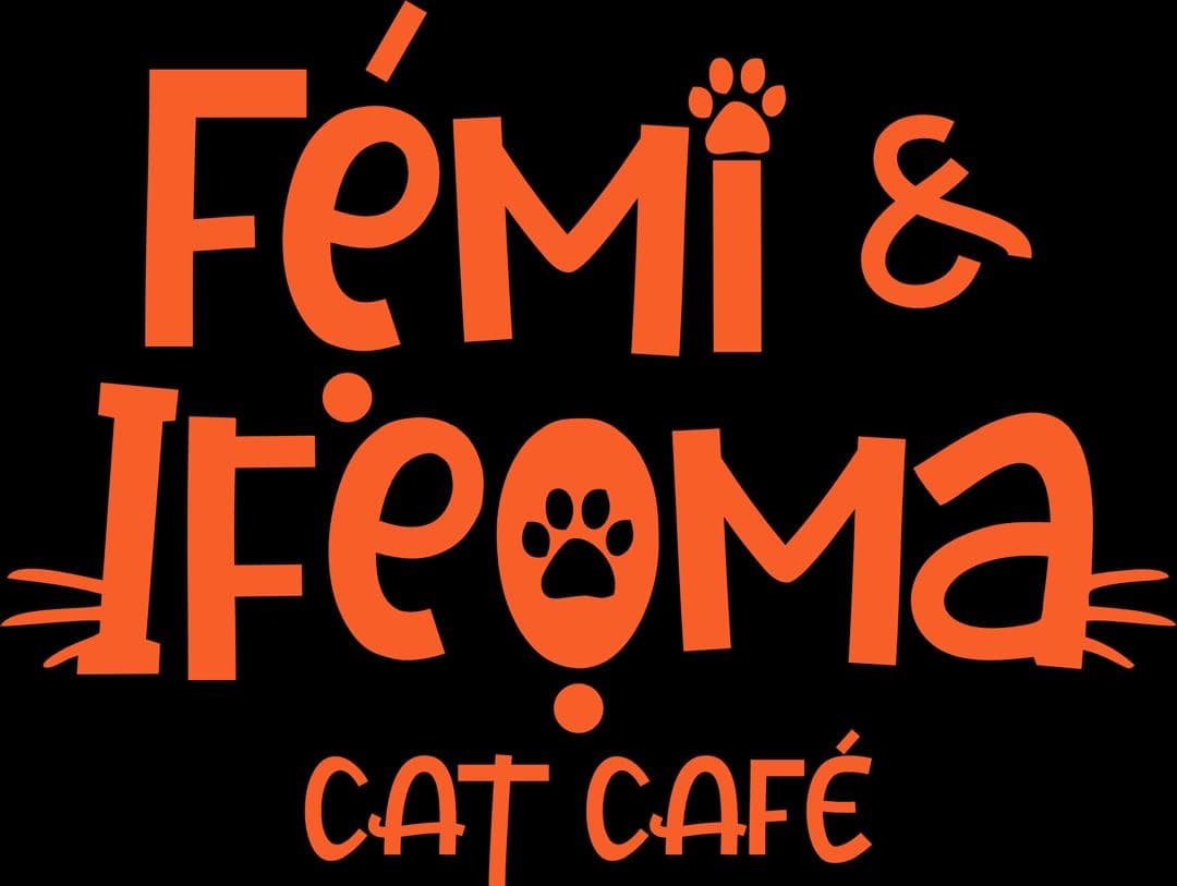 Femi and Ifeoma Cat Café photo 1
